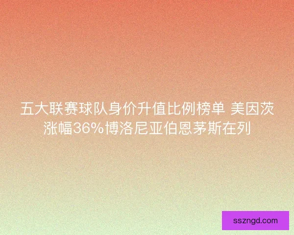 五大联赛球队身价升值比例榜单 美因茨涨幅36%博洛尼亚伯恩茅斯在列