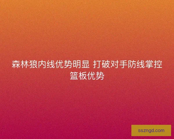 森林狼内线优势明显 打破对手防线掌控篮板优势